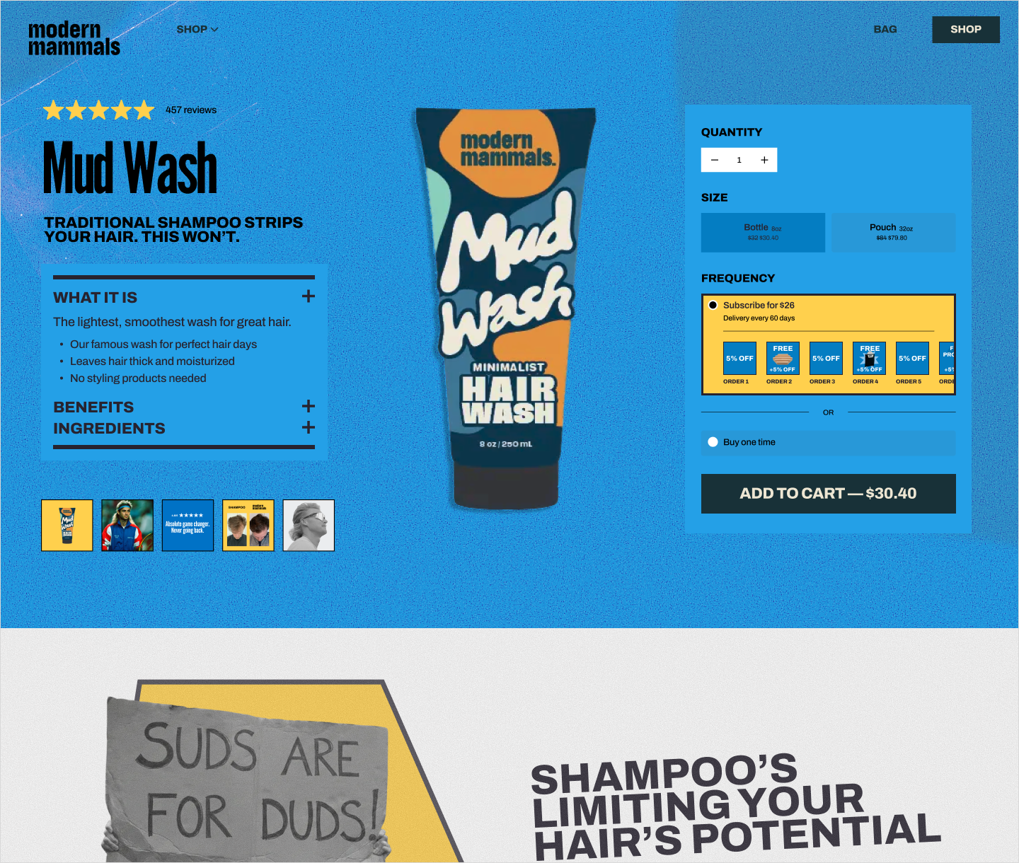 Modern Mammals brand and web design preview
